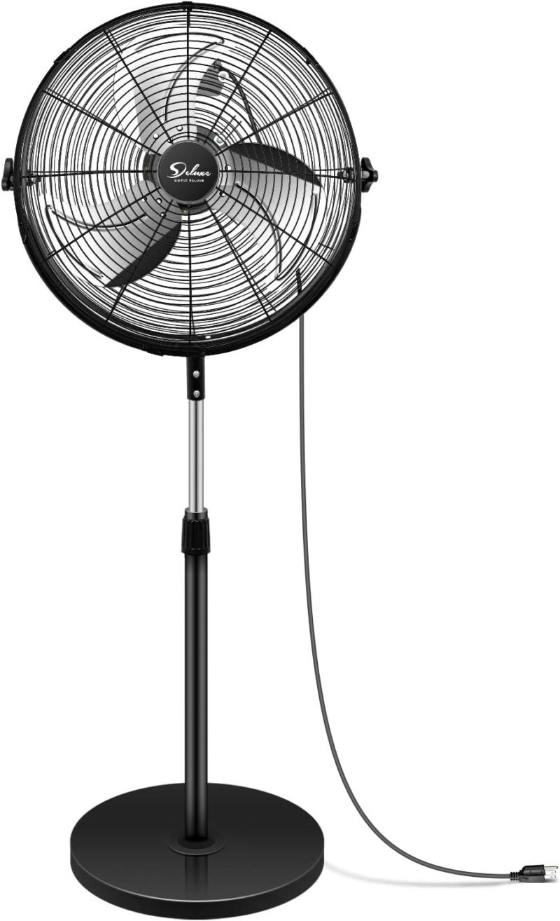 fans