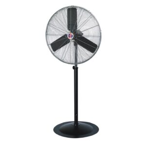 Fans