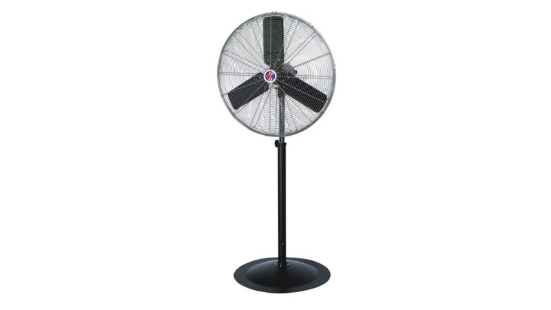 Fans