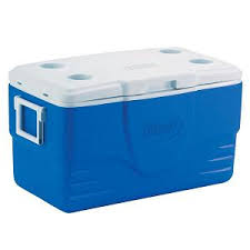 313 Ice Chest