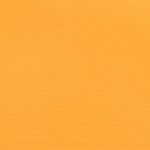 Basic Polyester Neon Orange - rounds - 132”