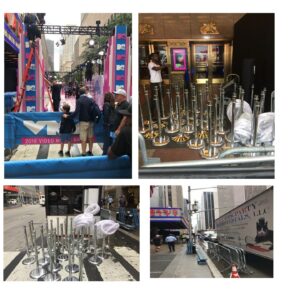 Chrome Stanchions with White Ropes