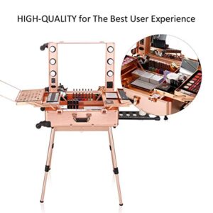 A Portable Studio Makeup Artist Cosmetic Case Rose Gold